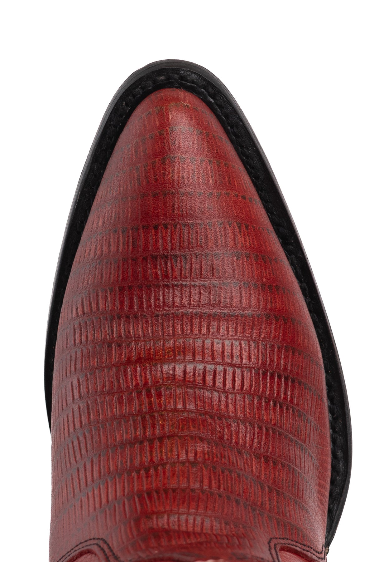 LIZARD ROJO EST. MADONA H-ROUS