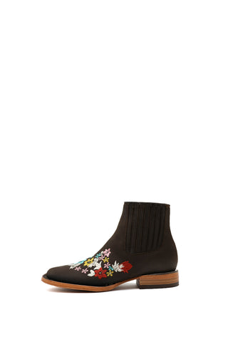 BUCK MOKA EST. ASTER