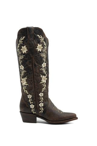 VALENCIA CAFE EST. FLOR MIA